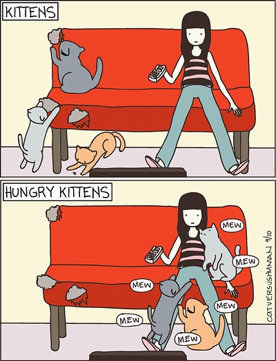 cat_vs_human_07.jpg