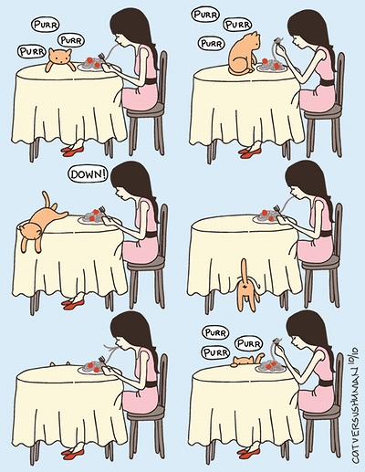cat_vs_human_08.jpg