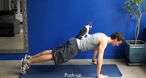 exercise_with_your_cats.jpg