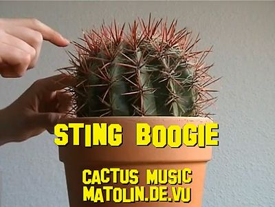 sting_boogie.jpg