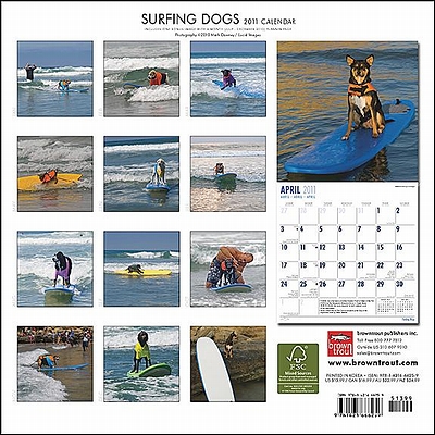 surfing_dogs.jpg