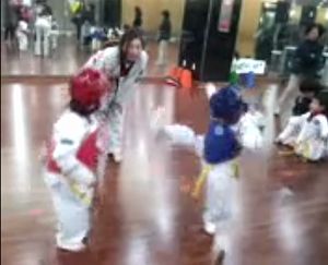 taekwondo_fight.jpg